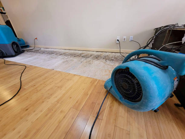 Professional Flood Damage Cleanup technician working in Auburn, MI